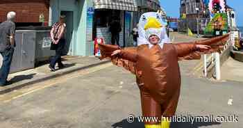 Seaside chippy worker earns £200 a day scaring off seagulls in an eagle outfit