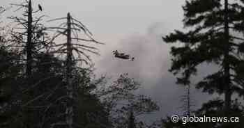 Nova Scotia wildfires: Ottawa ready to assist as blaze burns near Halifax