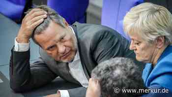 Habecks neue Heizpläne: Wirtschaft sieht „gutes Zeichen“ - doch einige Kritik bleibt