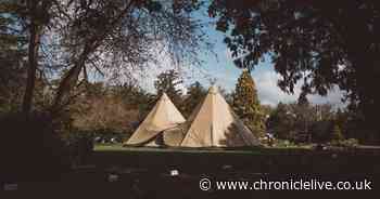 Linden Hall teams up with Cramlington company to offer 'striking' tipis for wedding couples