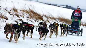 Tote Huskys in Dobel: Peta-Mahnwache begleitet Prozessauftakt am Calwer Amtsgericht