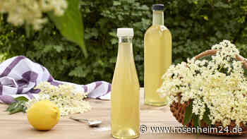 Wein aus Holunderblüten: Mit Hefekulturen möglich