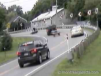 Quebecer who caused fatal collision to protect ducks sentenced to 8 months