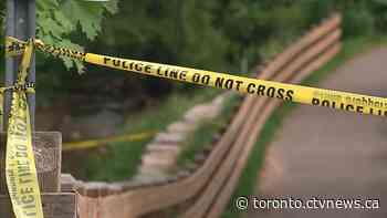 Individual linked to investigation of fetus found in park near Toronto identified: police