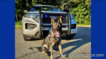 K9 Finds Woman Who Threatened Officers, Evaded Crash in Lisbon: PD