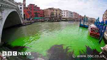 Venice canal patch turns fluorescent green