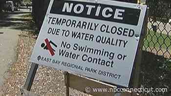 Swimming at Hop Brook Lake in Middlebury is Off Limits Due to High Bacteria Levels