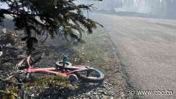 About 200 homes, structures 'damaged' as Halifax-area wildfire burns out of control, officials say