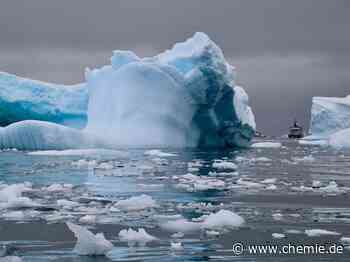 Nikotin und Antidepressiva in antarktischen Gewässern gefunden