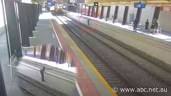 'Harrowing' footage shows near misses between pedestrians and trains across Adelaide