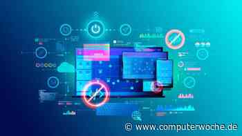 Experten diskutieren No-Code / Low-Code: Wo bleibt der Citizen Developer?