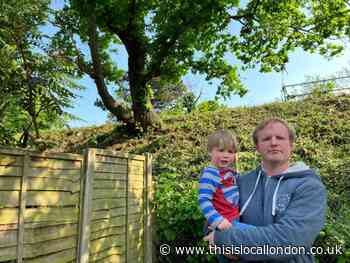Neighbours hit out at tree pruning along Hayes rail line