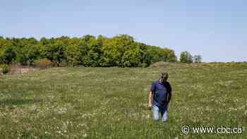 Ontario's dwindling farmland isn't the place to build more houses, farmers tell Ford