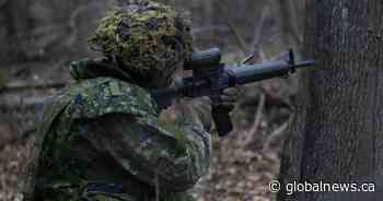 Canadian Forces reservist died fighting with ISIS