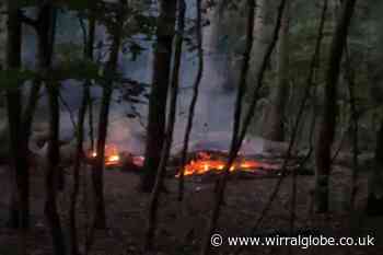 Emergency services called after explosion in Moreton