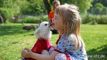 Erstes Treffen der Tierpaten in Greuda