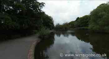 Man, 50s, hit with bike seat during attack in Ashton park