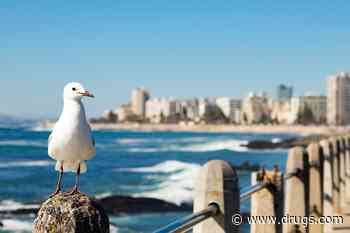 Microplastics Are Harming the Guts of Seabirds -- and Maybe Humans, Too