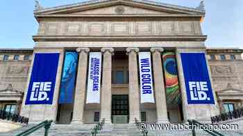 Chicago Free Museum Days June 2023: Full List