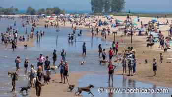 CPD Limits Access to Montrose Beach Due to ‘Capacity'