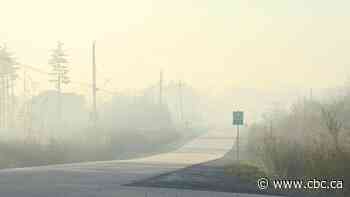 Halifax-area wildfire still out of control, but has not grown