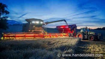 Vermögensverwaltung: Mit Agrar- und Forstwirtschaft können Anleger auch in Krisenzeiten stabile Renditen erzielen