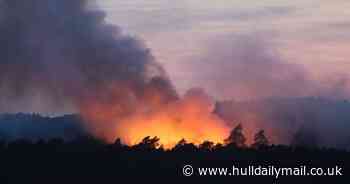Dramatic photo shows large wildfire ripping through common