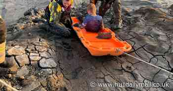 Boy sinks up to his waist in mud while walking his dog on coast