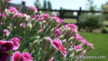 A Review of the Tamron 18-300mm f/3.5-6.3 Di III-A VC VXD Lens