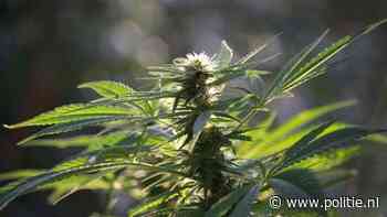 Almere - Explosie leidt naar hennepkwekerijen