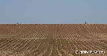 Ontario abandons proposal to sever farmland lots in response to farmer opposition