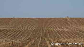 Ontario abandons proposal to sever farmland lots in response to farmer opposition