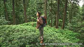 Tourismus in Schömberg: Glücksgemeinde will mit weiterer Attraktion punkten