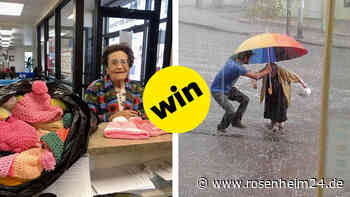 13 aufmunternde Bilder, falls du heute genug von schlechten Nachrichten hast