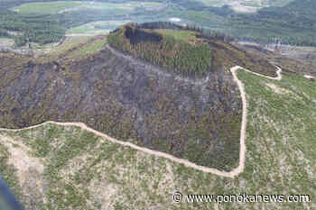 ‘Crushing consequences’: experts see growing risk as wildfires crash into communities