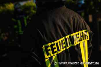 Frustrierter Dortmund-Fan löst in Lemgo Heckenbrand aus