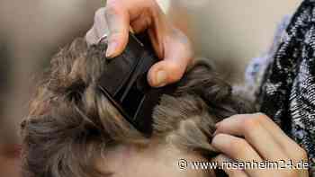 Läuse, Hand-Fuß-Mund, Drei-Tage-Fieber: Fünf Krankheiten sollten Eltern von Kitakindern &amp; Co. kennen