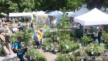 „Parkchaos im Badeteil“: 300 Strafzettel während der Rosentage in Bad Tölz