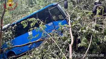 Unfall in Italien: Schulbus stürzt in einen Waldhang