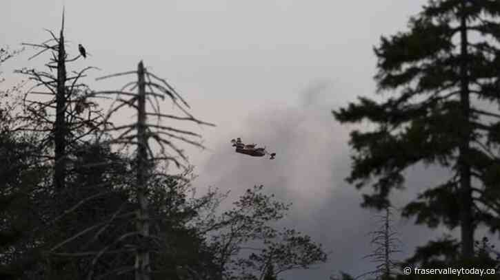 ‘Frightening’ Halifax wildfire shows risk when hot, dry weather hits Maritimes