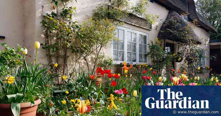 Agreed house sales in UK at highest point this year, says Zoopla