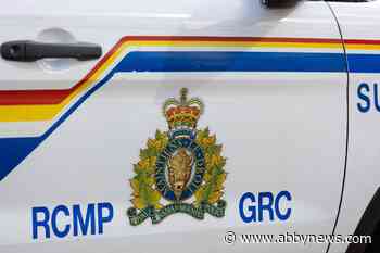 Boy, 15, accused in series of robberies in Surrey