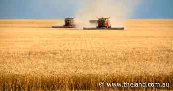 Growers face testing weather