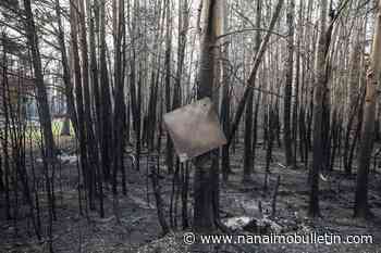 ‘Crushing consequences’: Experts see growing risk as wildfires crash into communities