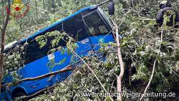 Schulbus in Italien stürzt in Waldhang