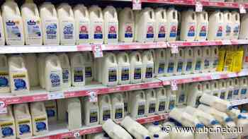 Milk price drop a 'slap across the head' for dairy farmers