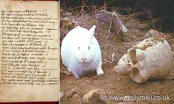 Britain's first stand-up comic entertained with a 'Monty Python-worthy sketch' 540 YEARS ago