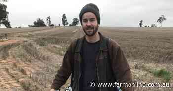 Seed 'camouflage' could help in mouse battle