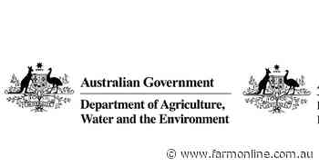 DAFF investigates new claims of live sheep export breaches