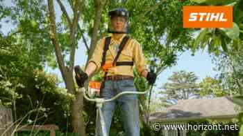 Globale Frühlingskampagne: The Goodwins und Stihl animieren zum Rundumschlag im Garten